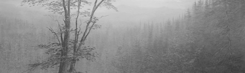 Are You Feeling Misty?