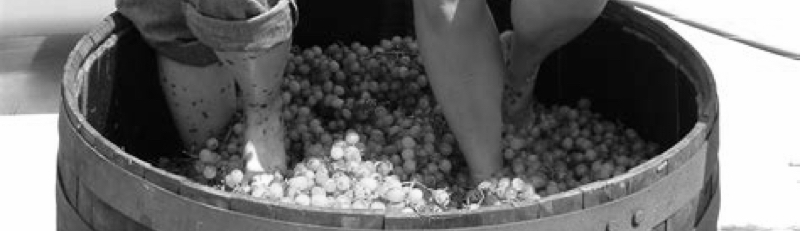 Making Leaders is Like Making Wine-b&amp;w