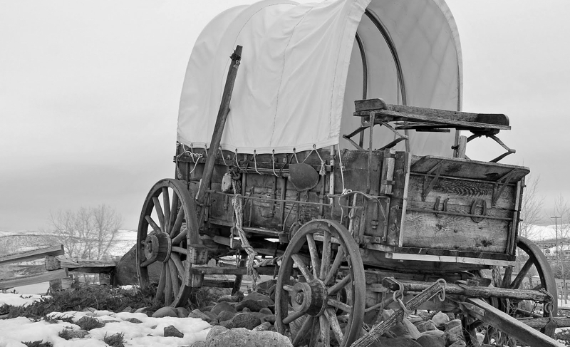covered_wagon--bw