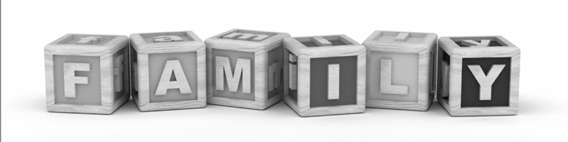 family-building-blocks-banner-bw